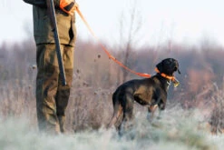 PANTALON CHASSE SUPERTRACK 300 IMPERMEABLE VERT 16 PANTALON CHASSE SUPERTRACK 300 IMPERMEABLE VERT -Magasin De Vêtements De Sport pantalon chasse supertrack 300 impermeable vert 2